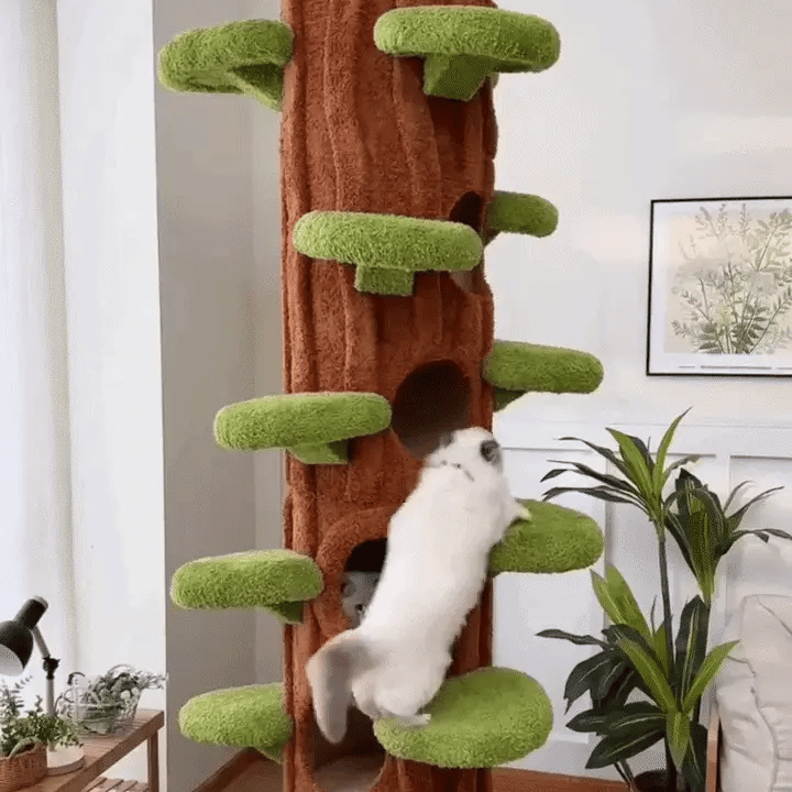 Your cats deserve a kingdom. Not a wobbly plastic tower