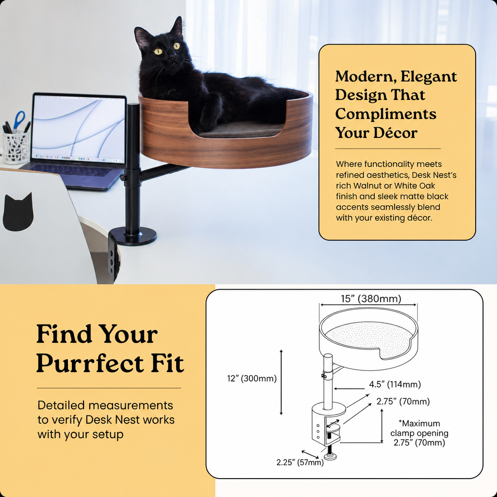 Give your cat a perch of their own
