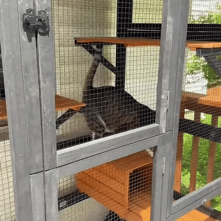 WHY YOU'LL LOVE THE Outdoor Catio with Roof & Window Access