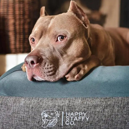 Delux orthopedic memory FOAM BED