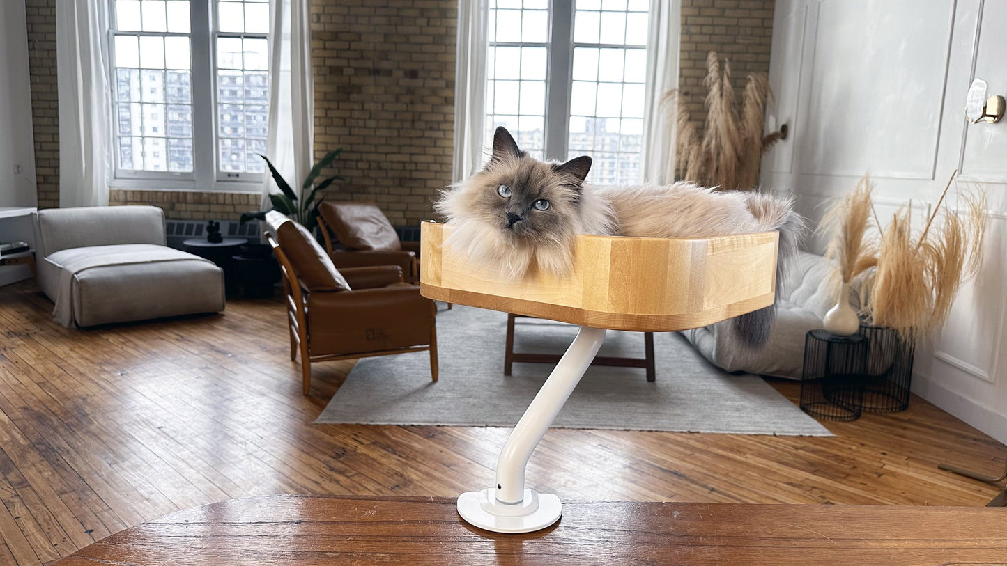 The Sustainable Desk-Mounted Cat Bed