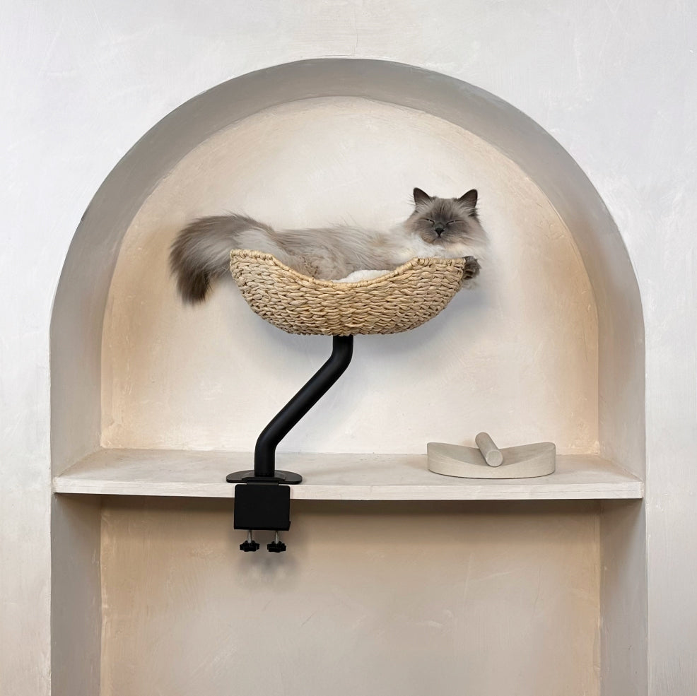 ERGO PURRCH desk-mounted cat bed with cat resting