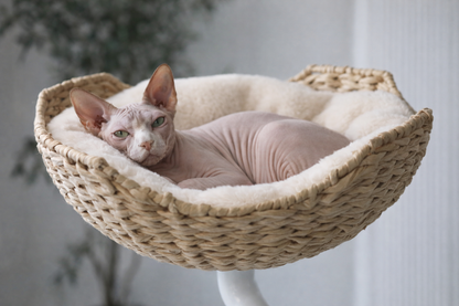 The Sustainable Desk-Mounted Cat Bed