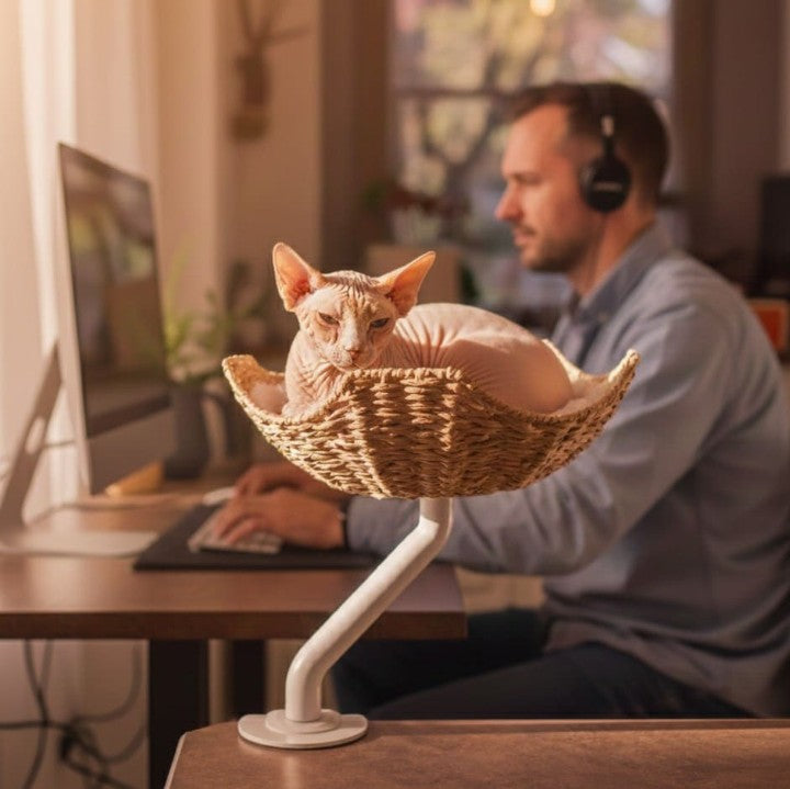 The Sustainable Desk-Mounted Cat Bed