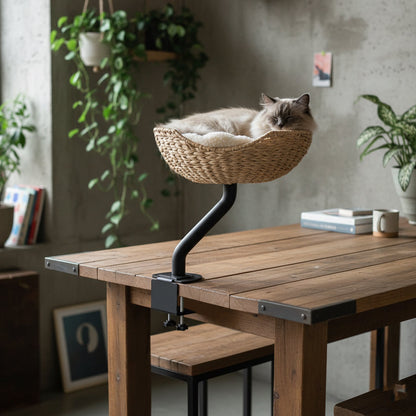 The Sustainable Desk-Mounted Cat Bed