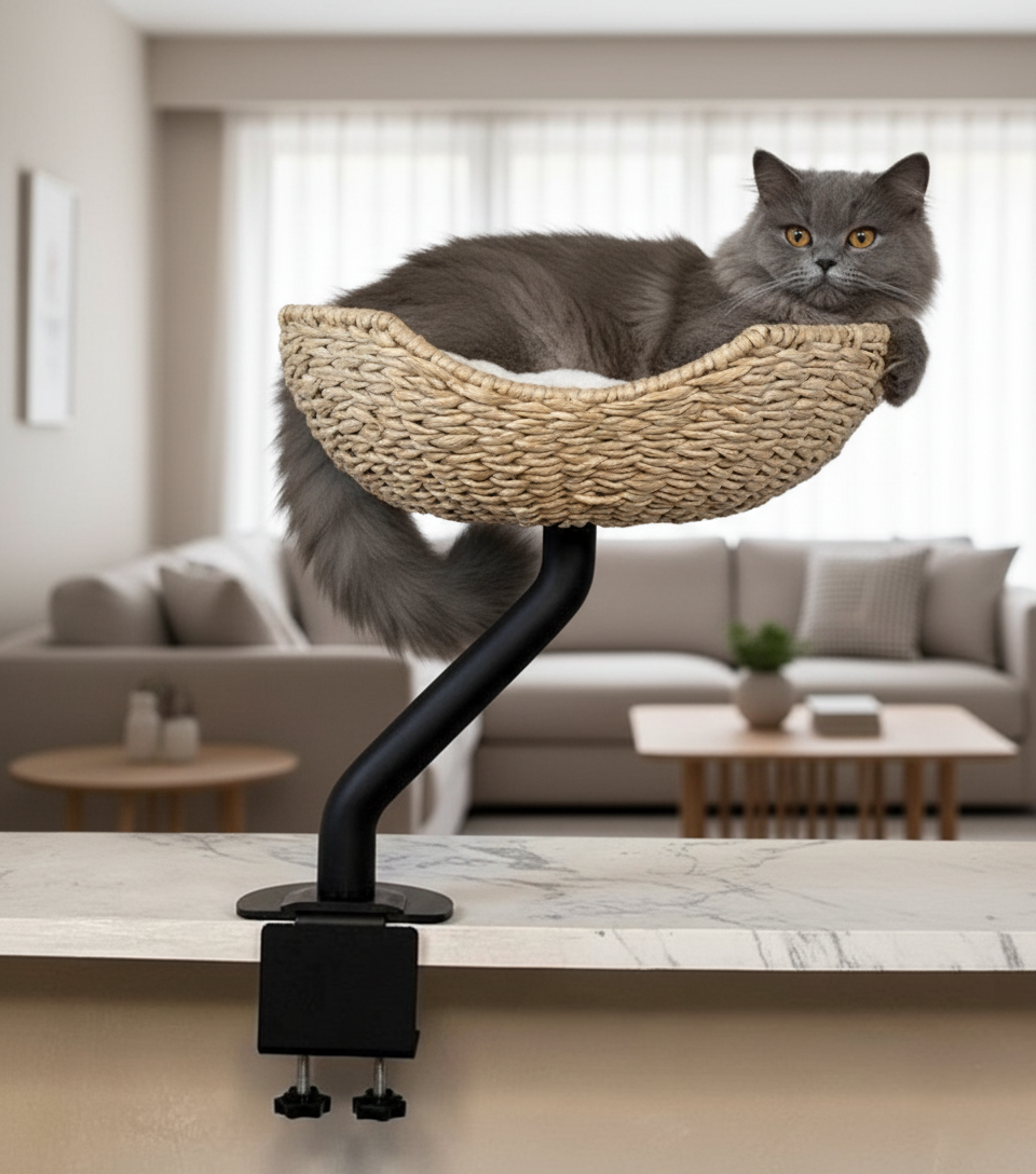 The Sustainable Desk-Mounted Cat Bed