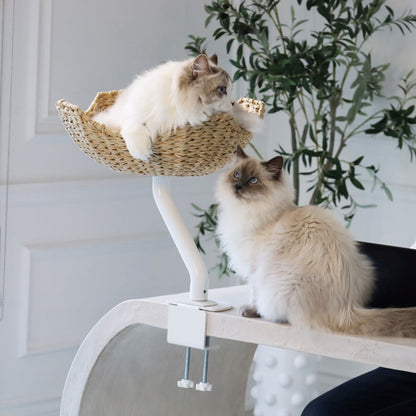 The Sustainable Desk-Mounted Cat Bed