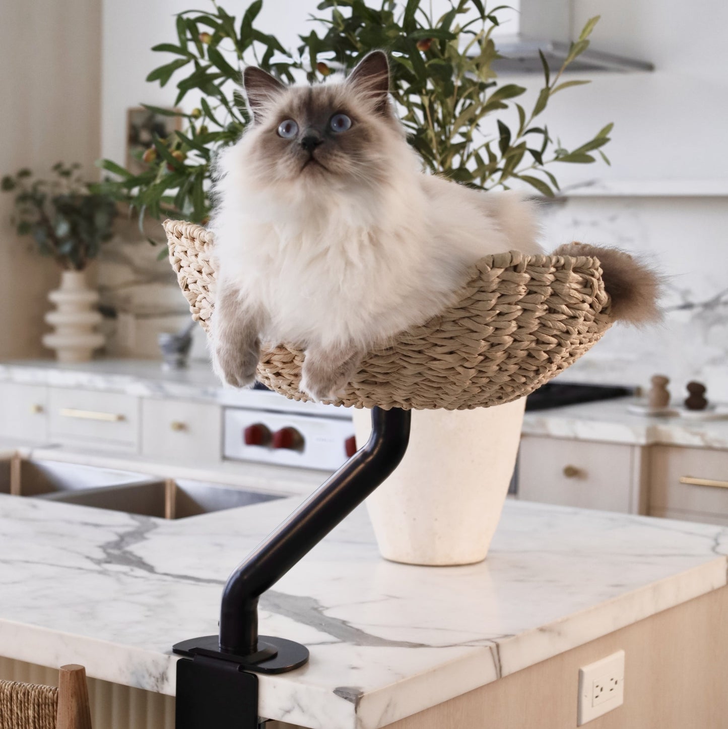 The Sustainable Desk-Mounted Cat Bed