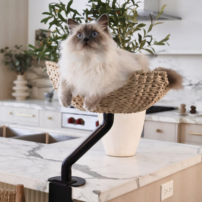 The Sustainable Desk-Mounted Cat Bed