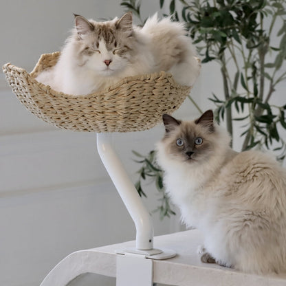 The Sustainable Desk-Mounted Cat Bed