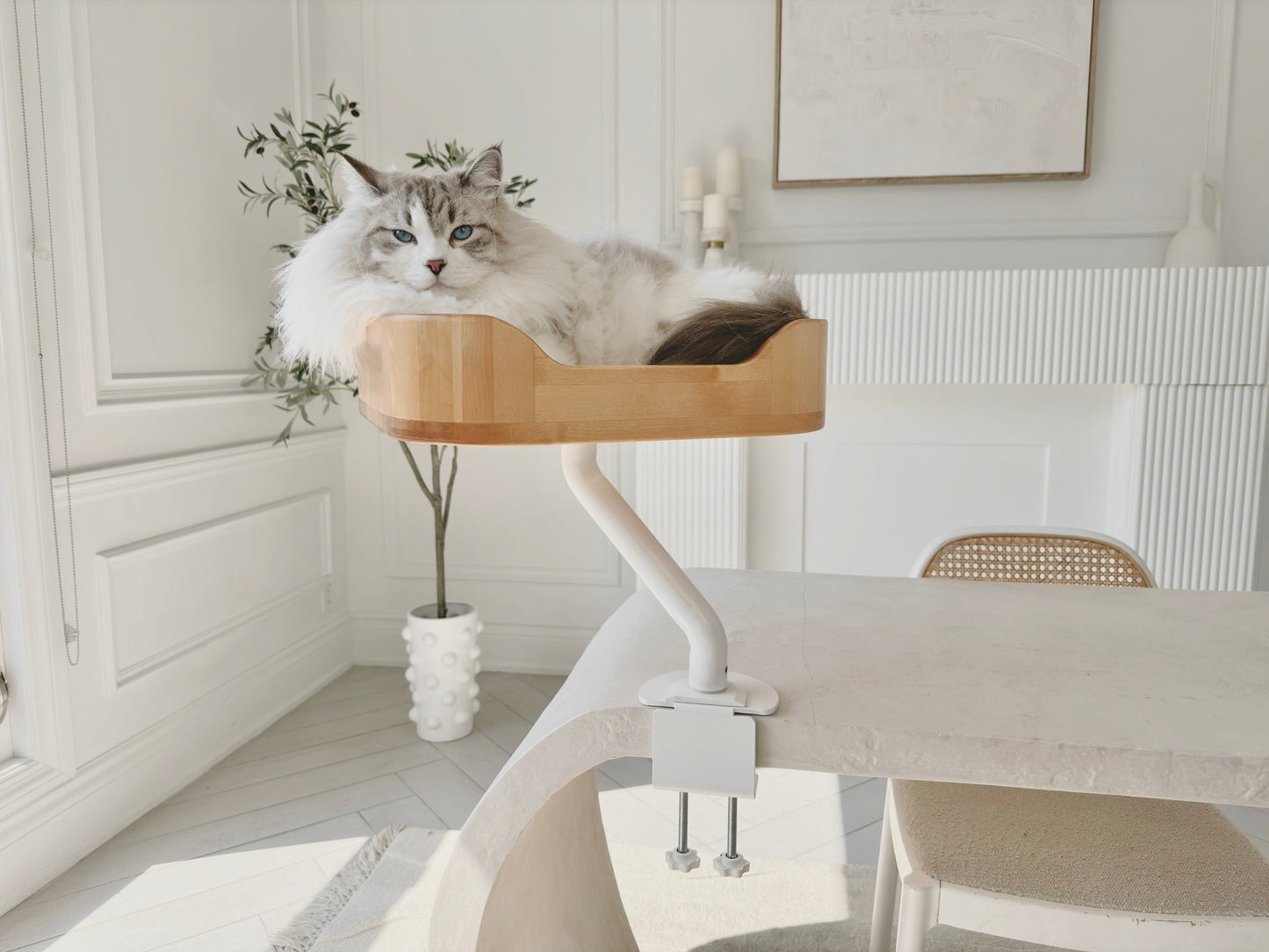 ERGO PURRCH birchwood desk-mounted cat bed with cat curled up resting