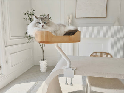 ERGO PURRCH birchwood desk-mounted cat bed with cat curled up resting