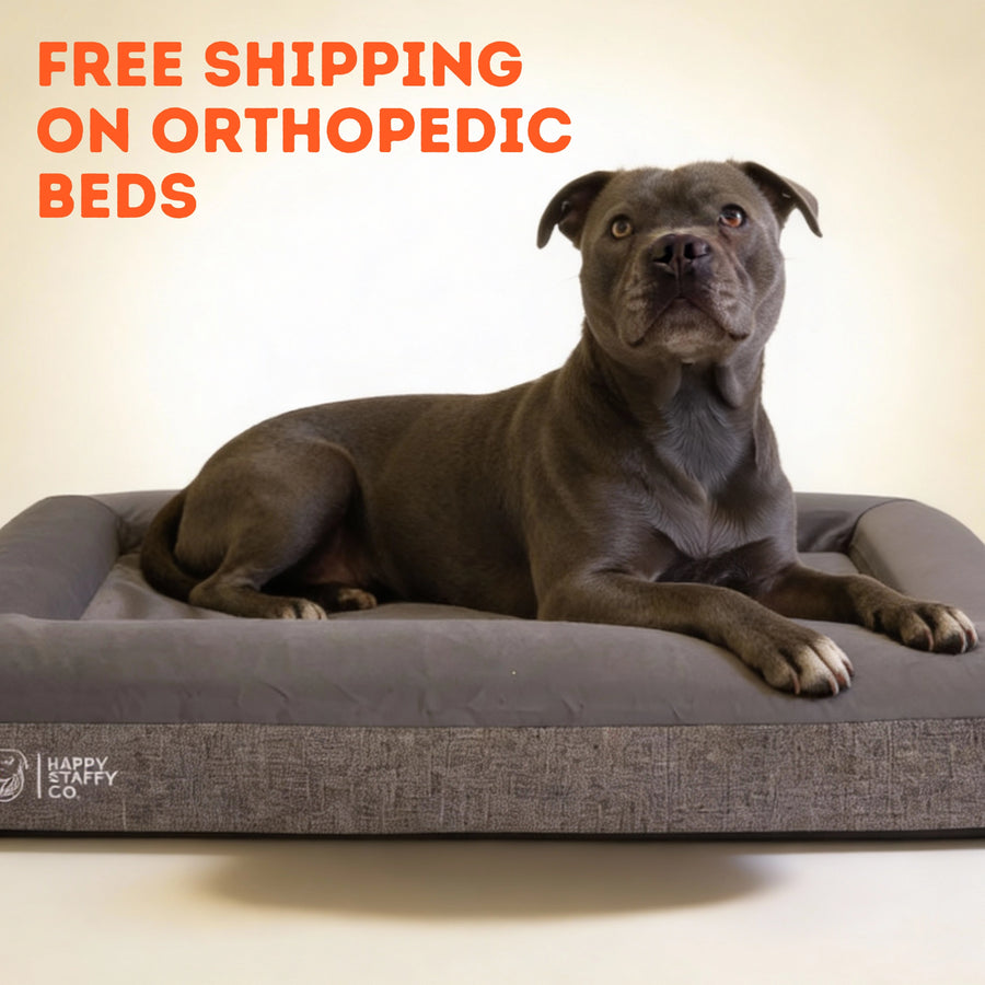 Delux orthopedic memory FOAM BED