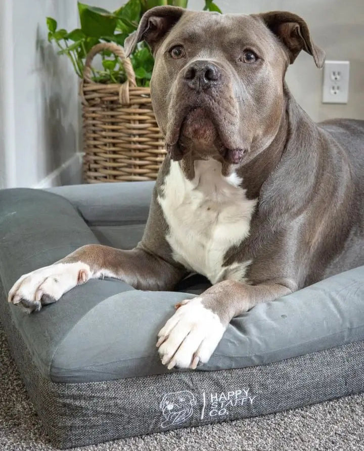Delux orthopedic memory FOAM BED