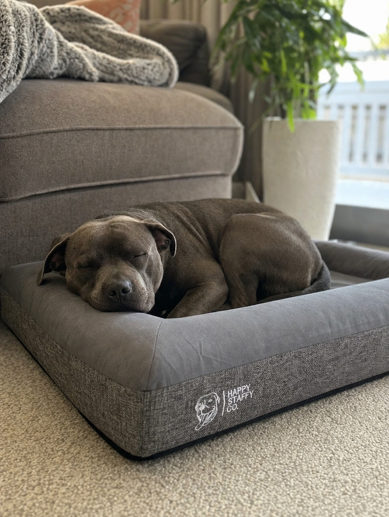 Let Them Curl Up