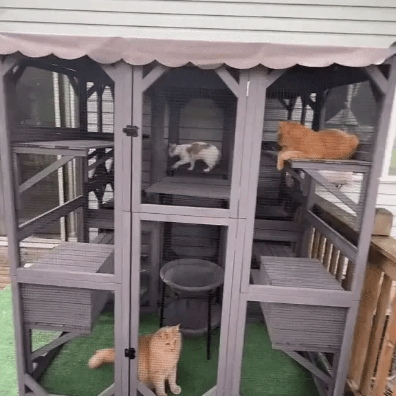 YOUR CAT WATCHES THE WINDOW ALL DAY. NOW THEY CAN STEP RIGHT THROUGH IT.
