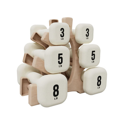 Neoprene Dumbbell