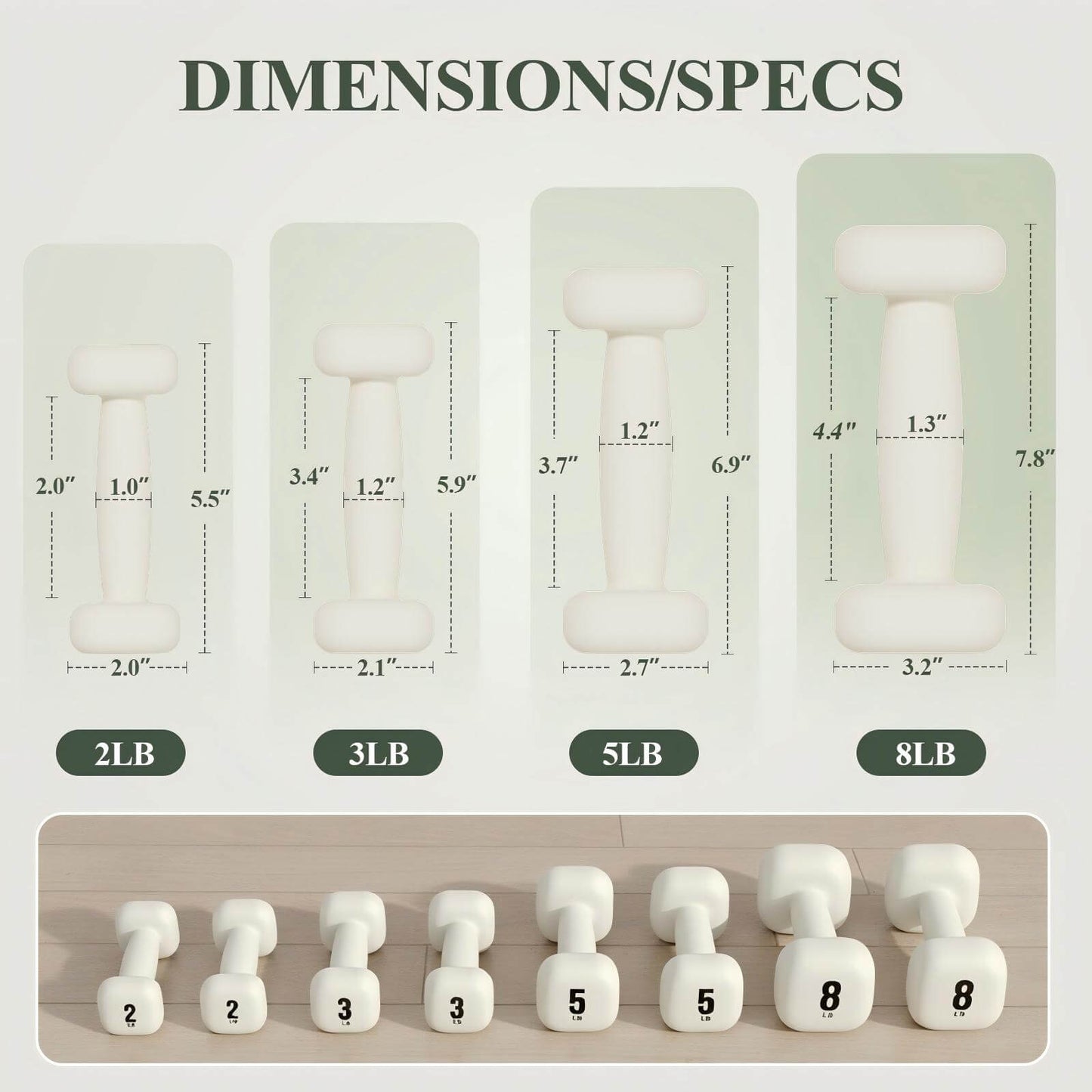 Neoprene Dumbbell